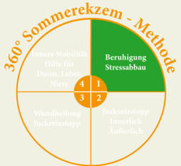 Abschnitt 1: Beruhigung und Stressabbau