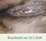 Offene Bauchnaht am 18.5.2020