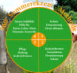 60° Sommerekzem-Methode