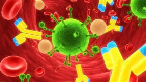 Immunsystem