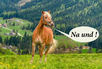 Trotz Arthrose kann sich dieses Pferd fröhlich bewegen
