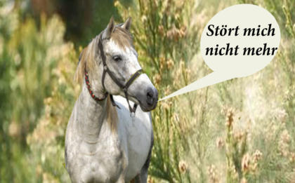 Pferd dem Pollen nichts mahr anhaben können