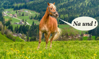 Trotz Arthrose kann sich dieses Pferd fröhlich bewegen