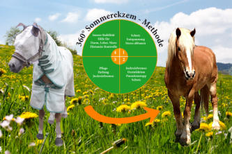 Ein und dasselbe Pferd vor und nach der Anwendung der 360° Sommerekzem-Methode