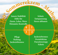 360° Sommerekzem-Methode