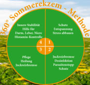 360° Sommerekzem-Methode