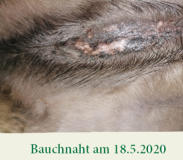 Offene Bauchnaht am 18.5.2020
