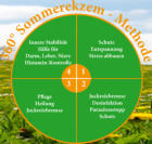 360° Sommerekzem-Methode
