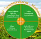 360° Sommerekzem-Methode
