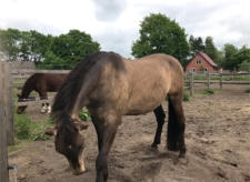 Don jetzt ohne Scheuerneigung und frei draussen