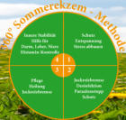 360° Sommerekzem-Methode