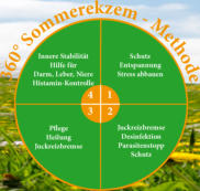 360° Sommerekzem-Methode