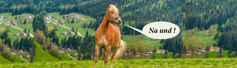 Fröhliches Pferd trotz Arthrose