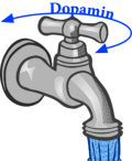 Dopamin-Regelwirkung am Beispiel eines Wasserhahnes