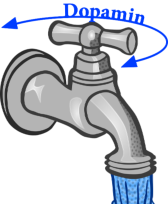 Dopamin-Regelwirkung am Beispiel eines Wasserhahnes
